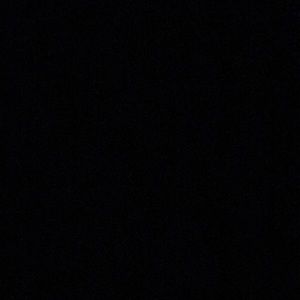 Meet your Posher, Abigail